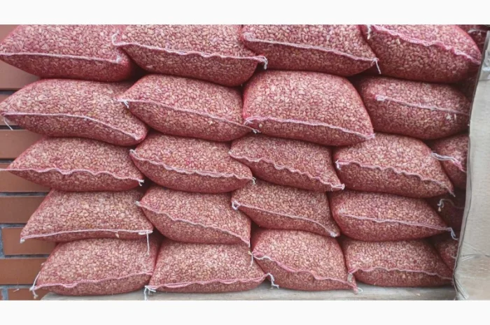 Продаю чеснок сортів Любаша, Дюшес, Ірен- фото № 5