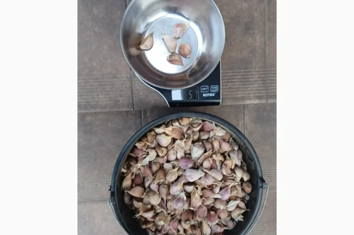 Продаю чеснок сортів Любаша, Дюшес, Ірен- фото № 2