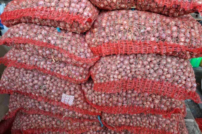 Продаж часнику сорту Любаша- фото № 8