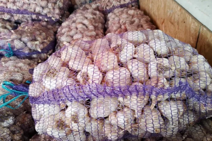 Чеснок на еду- фото № 9