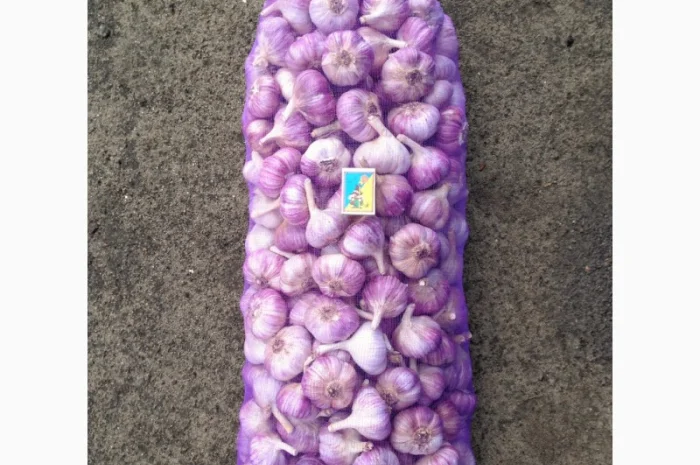 Продажа Воздушка Любаша Чеснок- фото № 8