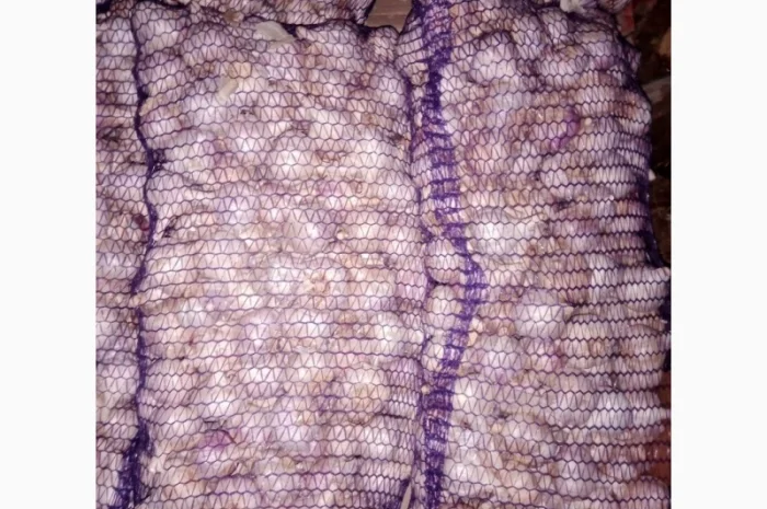 Продажа чеснока по выгодным ценам- фото № 1