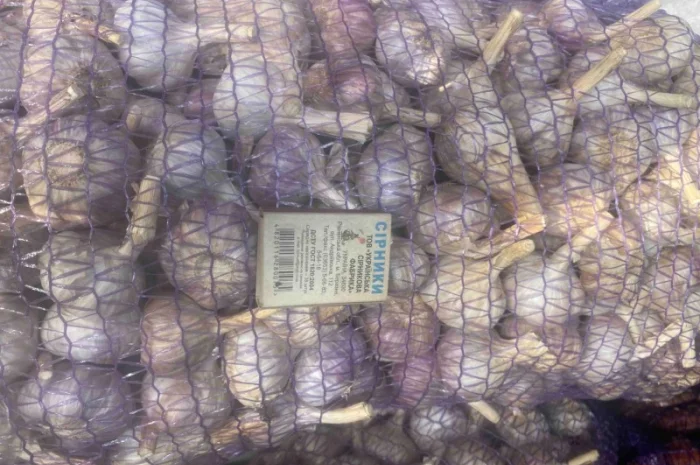 Чеснок для переработки и использования в пищевой промышленности- фото № 4