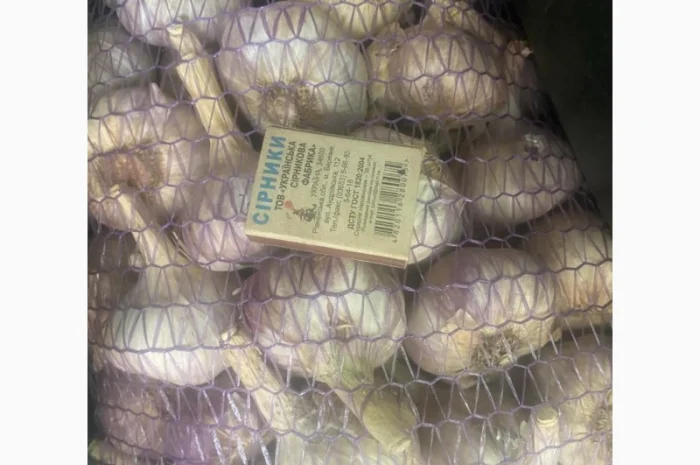 Чеснок для переработки и использования в пищевой промышленности- фото № 5