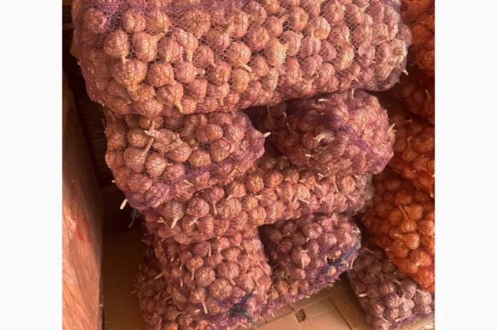 Чеснок Любаша оптом продажа- фото № 1