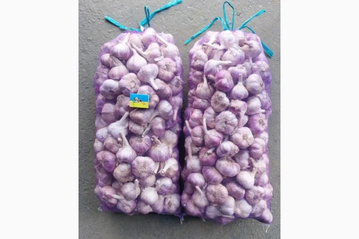 Чеснок Любаша, 15 тонн, продажа- фото № 9