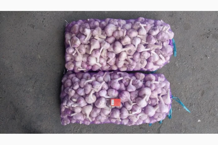 Чеснок Любаша, 15 тонн, продажа- фото № 6