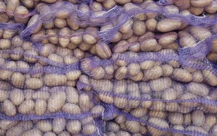 Закупівля картоплі по хорошій ціні- фото № 3