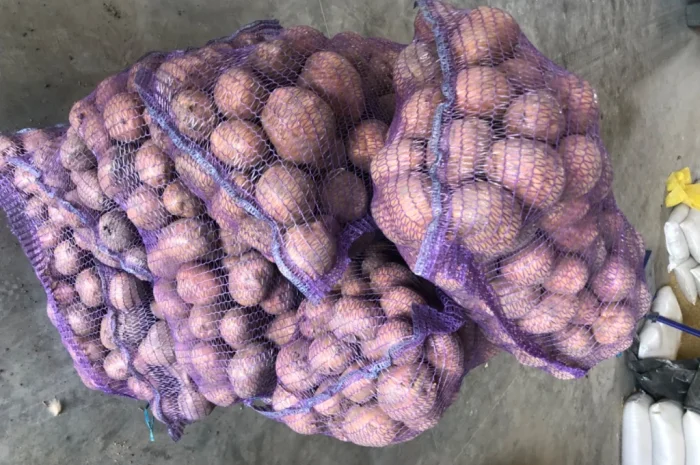 Куплю товарну картоплю різних сортів- фото № 3