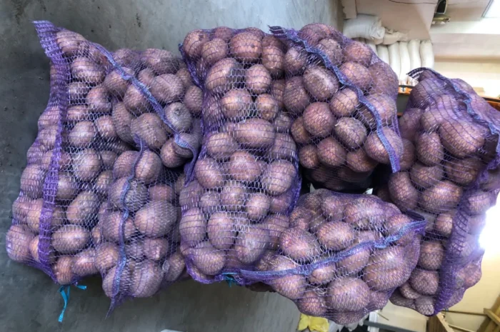 Куплю товарну картоплю різних сортів- фото № 4