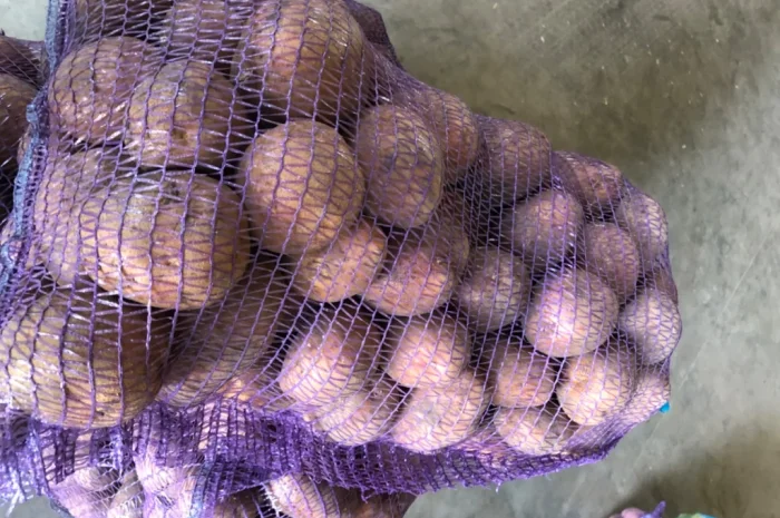 Куплю товарну картоплю різних сортів- фото № 5