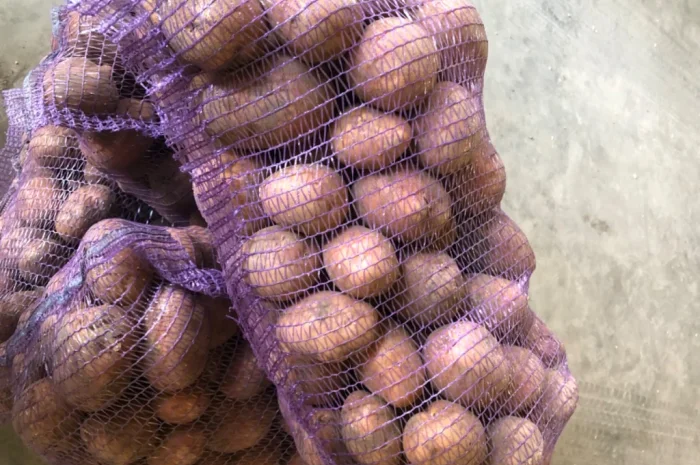 Куплю товарну картоплю різних сортів- фото № 1