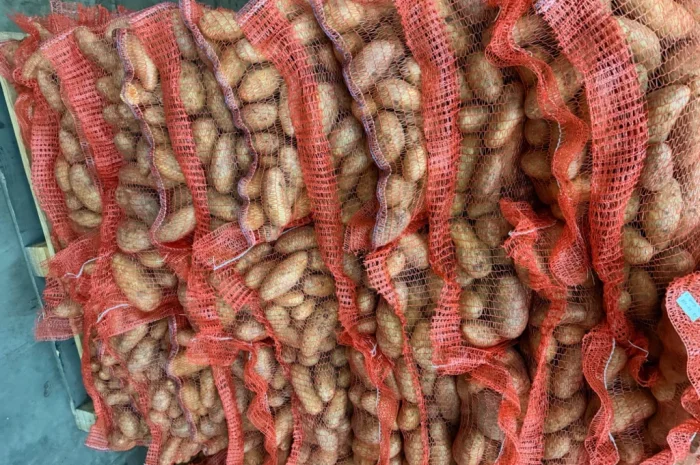 Картопля Гранада на продаж- фото № 1