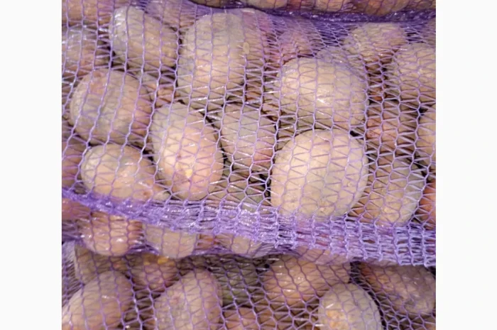 Продаю картофель красных и белых сортов- фото № 1