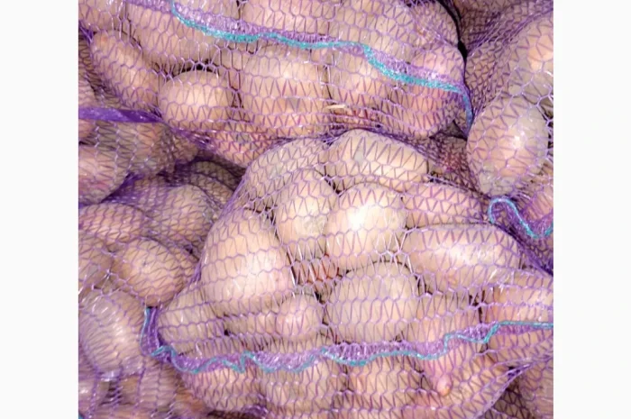 Продаю картофель красных и белых сортов- фото № 2