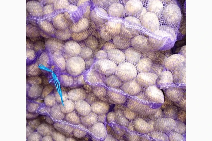 Продаю картофель красных и белых сортов- фото № 3