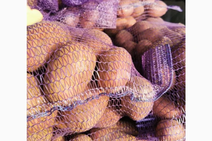 Куплю картоплю сорту Рікардо- фото № 1