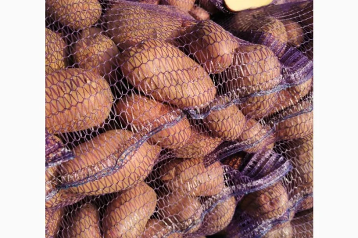 Куплю картоплю сорту Рікардо- фото № 3