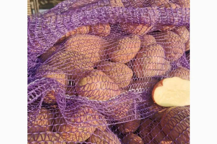 Куплю картоплю сорту Рікардо- фото № 4