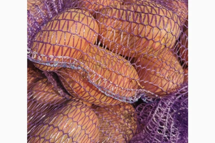 Куплю картоплю сорту Рікардо- фото № 5