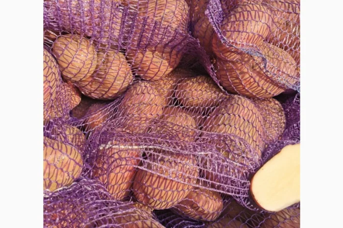 Куплю картоплю сорту Рікардо- фото № 9