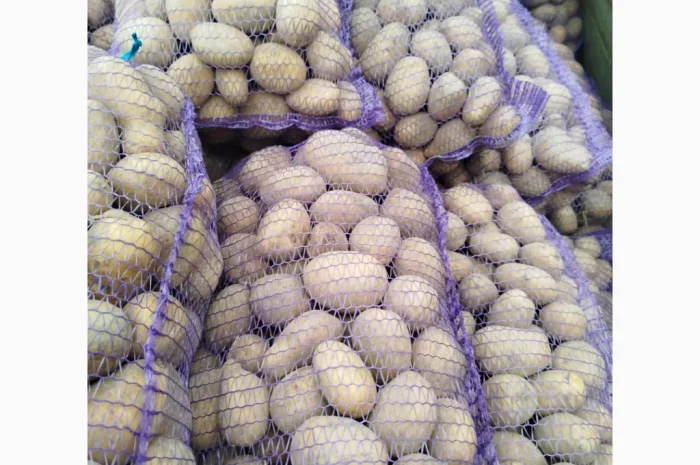 Куплю картофель жёлтый- фото № 1