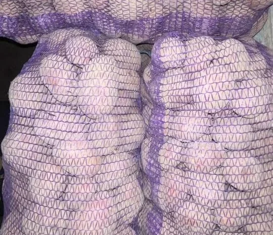 Купити картоплю та моркву- фото № 3