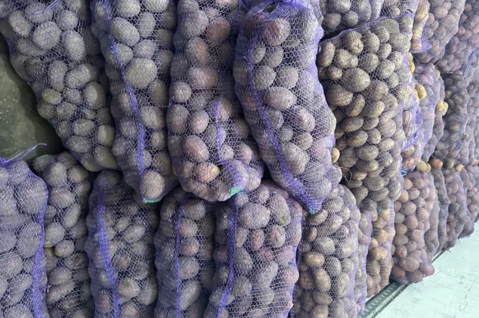 Купити картоплю та моркву- фото № 5