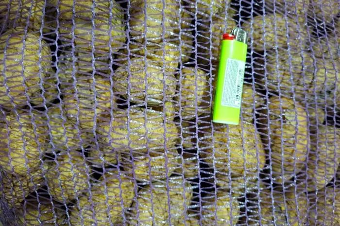 Картофель Посадочный Константа и Доната- фото № 2