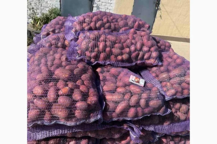 Покупка картофеля красных сортов от 20 тонн- фото № 1