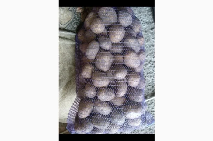 Продам картоплю АРІЗОНА та ГРАНАДА- фото № 1