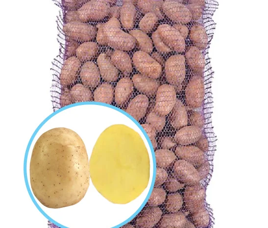 Продажа насиннєвої картоплі сорту Мелоді- фото № 1