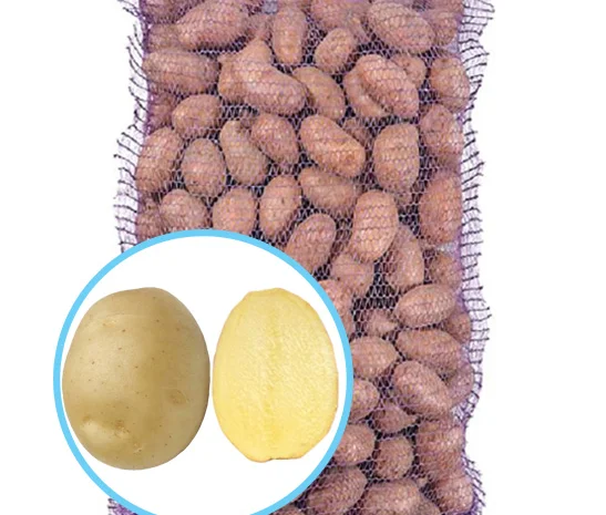 Продажа насиннєвої картоплі сорту Сіфра- фото № 1