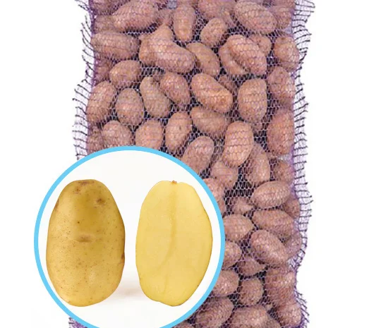 Продаж насіннєвої картоплі Гранада- фото № 1