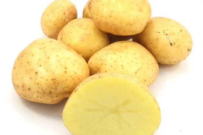 Продаж насінневої картоплі сорту Арізона. Перша репродукція. Роздріб від 20 кг- фото № 1