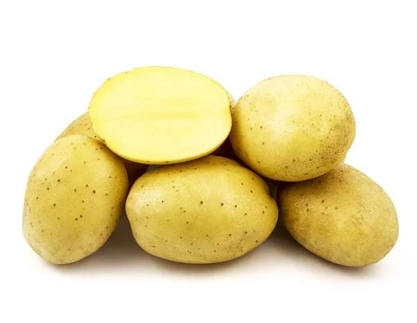 Продаж насіннєвої картоплі сорту Прада- фото № 1