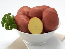 Посадкова картопля Беллароза в Сумській області- фото № 1