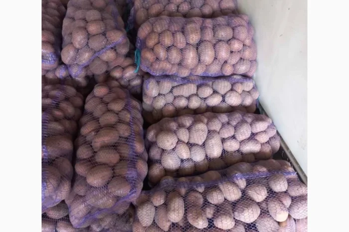 Продаю картоплю 5 тонн- фото № 1