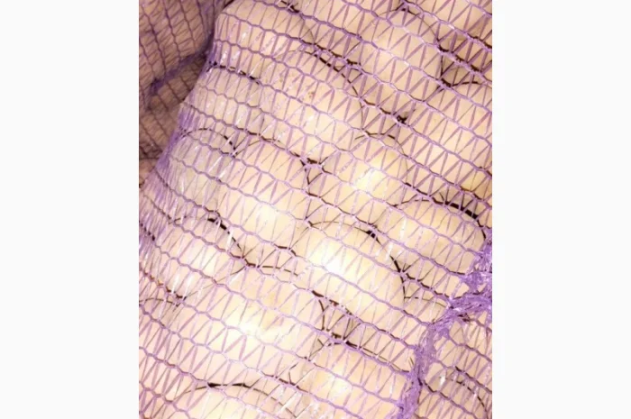 Продаю картошку сорта Аризона- фото № 1