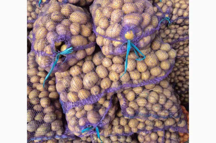 Продажа семенного картофеля Аризона и Ривьера- фото № 1