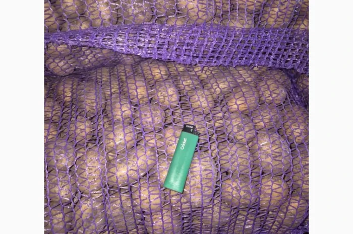 Продажа семенного картофеля Аризона и Ривьера- фото № 2