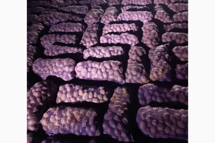 Продам качественную товарную и семенами картошку- фото № 2