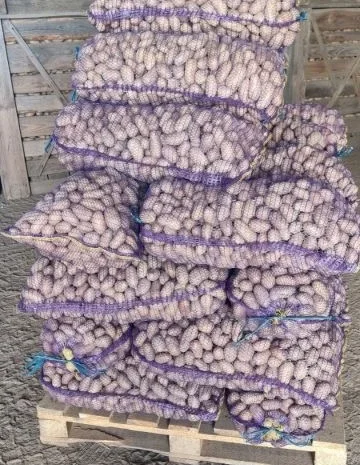 Продаж насіннєвої картоплі Гранада- фото № 1