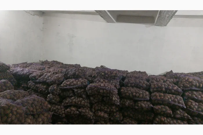 Куплю товарну картоплю- фото № 4