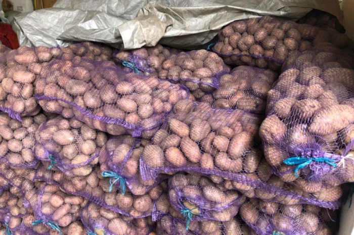 Якісна картопля на продаж- фото № 1