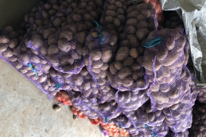 Якісна картопля на продаж- фото № 3