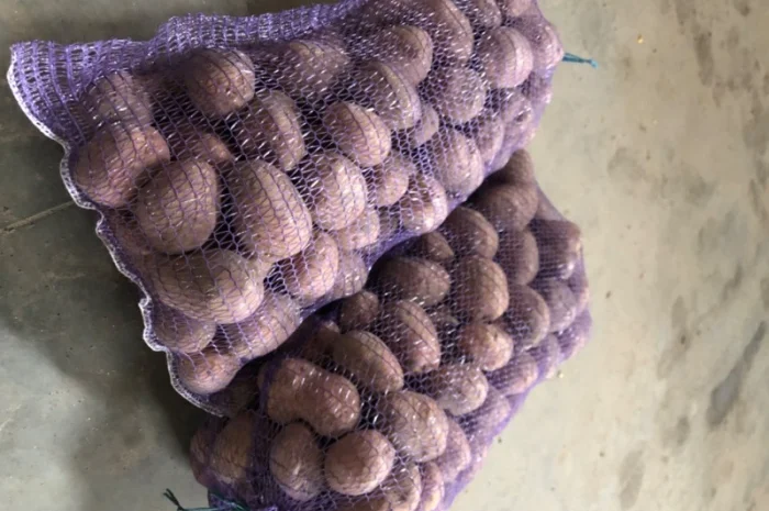 Якісна картопля на продаж- фото № 4