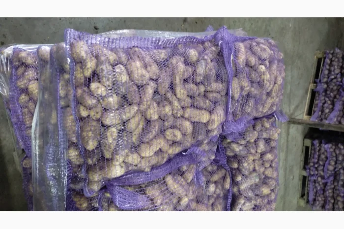 Куплю картофель гранаду оптом- фото № 1