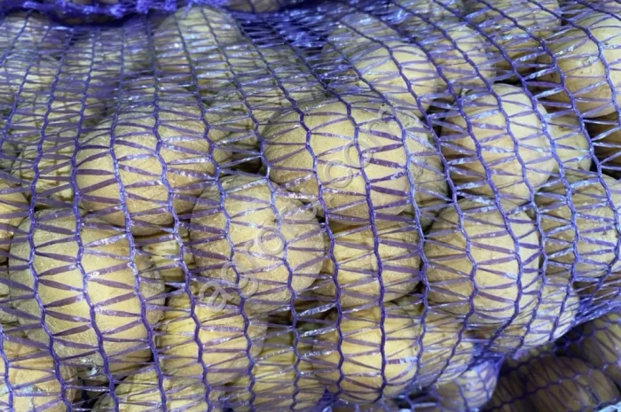 Продаж насіннєвої картоплі Арізона 1-2 репродукція- фото № 1