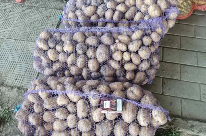 Продается картофель нескольких сортов от поставщика, 20 тонн- фото № 5